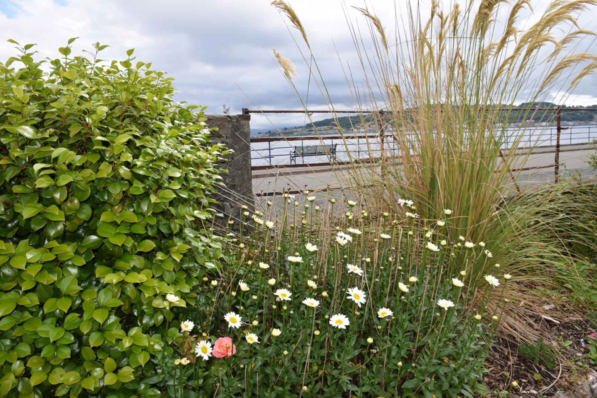 One Marine Place Port Bannatyne Extérieur photo